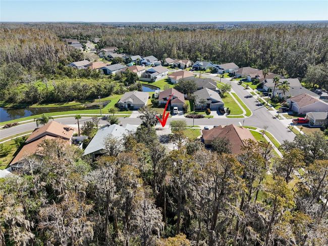 1323 Baythorn Dr, Home with 0 bedrooms, 0 bathrooms and null parking in Wesley Chapel FL | Image 9