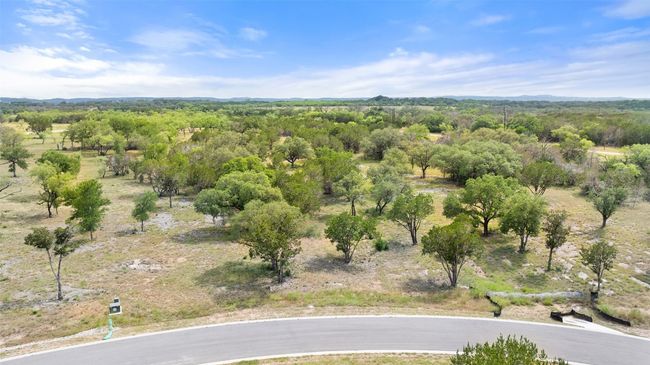 Bird's eye view of a forest | Image 39