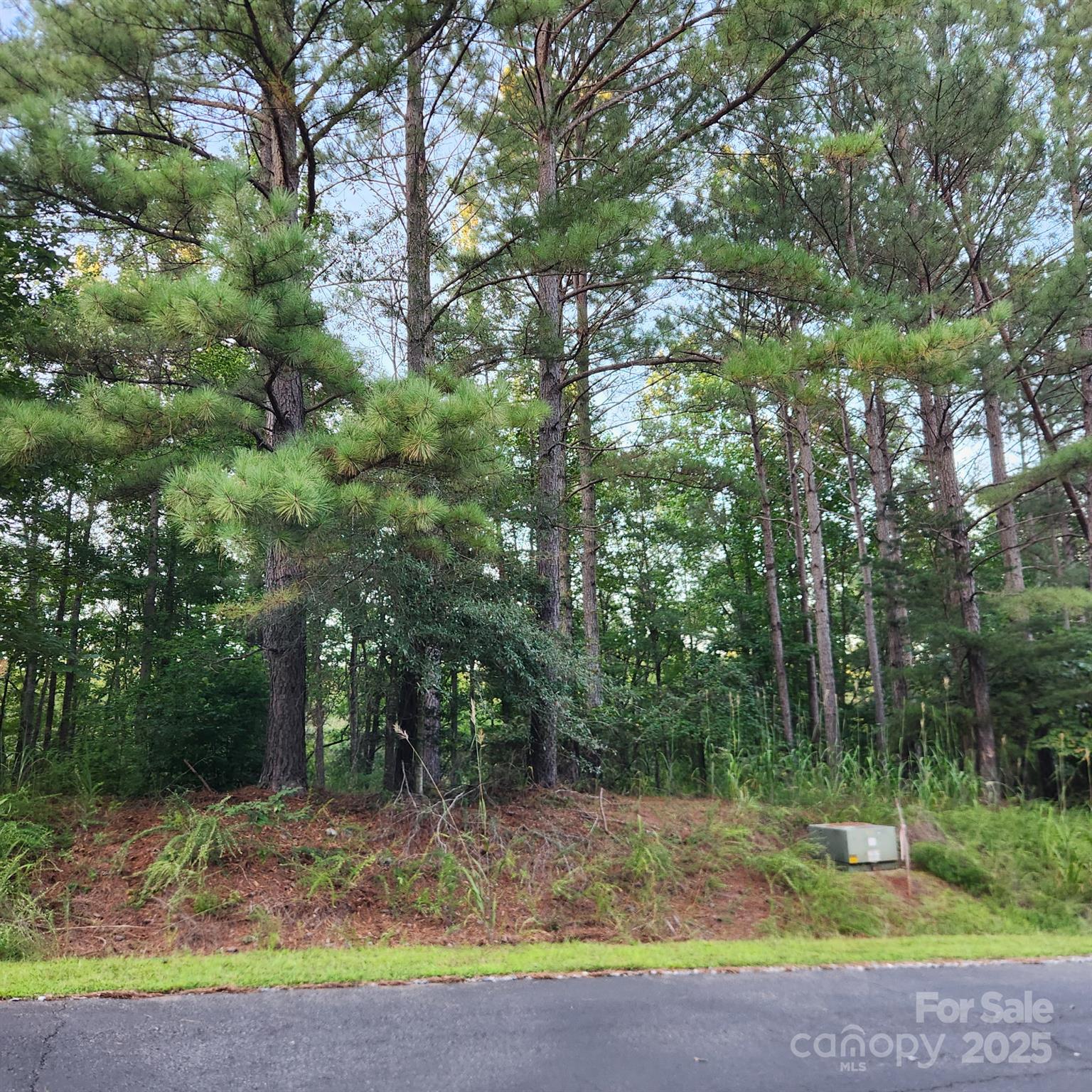 Land in Mooresboro 4