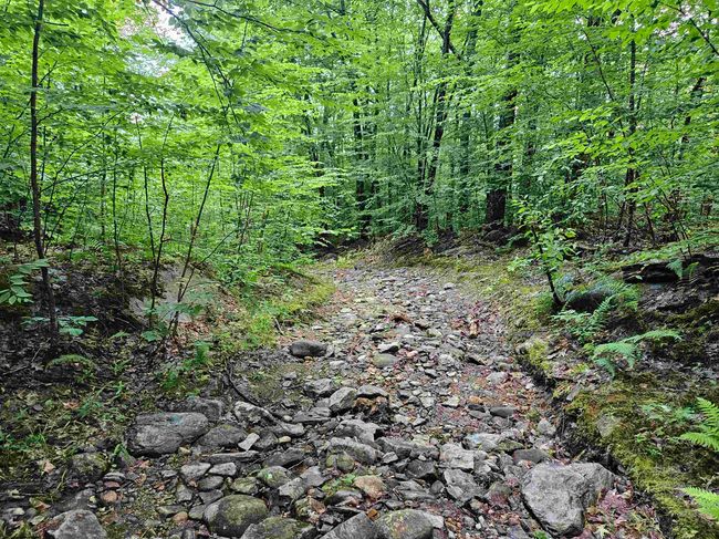 4000-ANDAMP-5000 - 00 Snowshoe Hill Rd, Home with 0 bedrooms, 0 bathrooms and null parking in Canterbury NH | Image 6