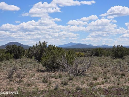 11718 S Blackbird Way, Williams, AZ, 86046 | Card Image