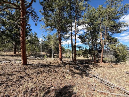 239 Shenandoah Path, HARTSEL, CO, 80449 | Card Image