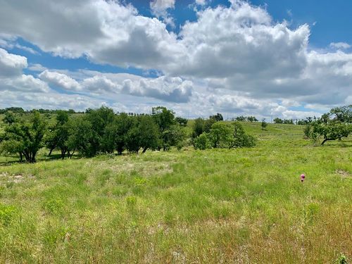 14-Lot 14 Badger Ridge Rd, Fredericksburg, TX, 78624 | Card Image