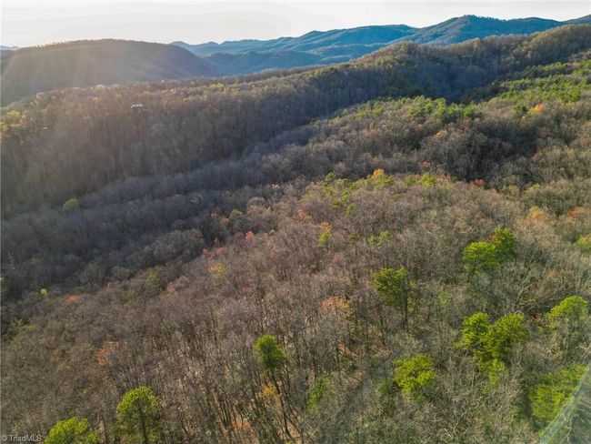 000 Gowings Knob Rd, Home with 0 bedrooms, 0 bathrooms and null parking in Mc Grady NC | Image 10