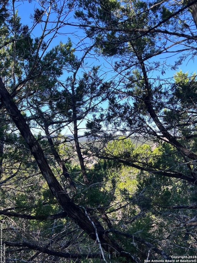 0 Cedar Hill Rd, Home with 0 bedrooms, 0 bathrooms and null parking in Pipe Creek TX | Image 12