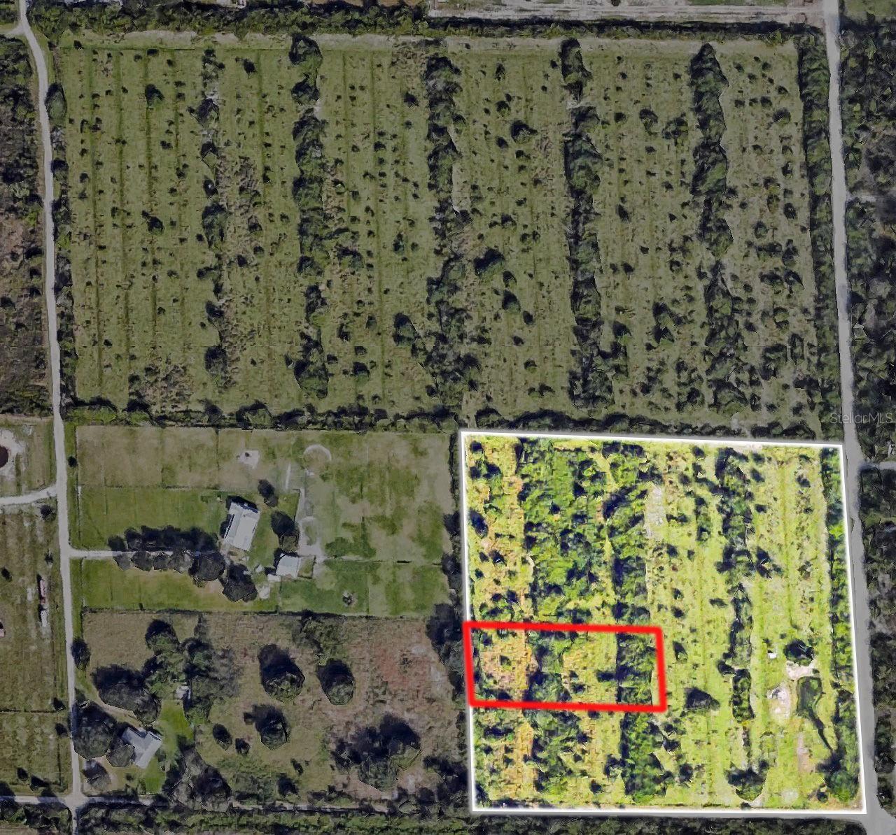 Land in PUNTA GORDA