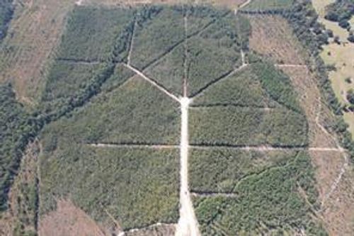 TBD Fm 420 Rd, Kountze, TX, 77625 | Card Image