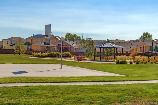 BASKETBALL COURT | Image 9