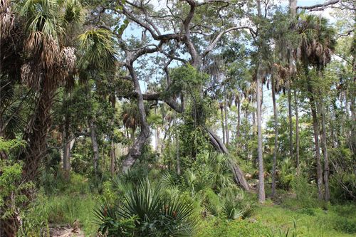 00 Prevatt Ln, Aripeka, FL, 34679 | Card Image