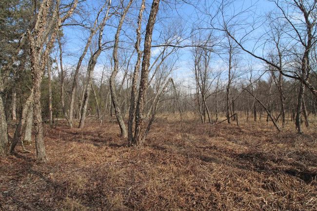 7750 Pine Rd, House other with 3 bedrooms, 2 bathrooms and null parking in ARENA WI | Image 62