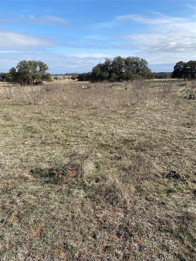 View of local wilderness featuring a rural view | Image 7