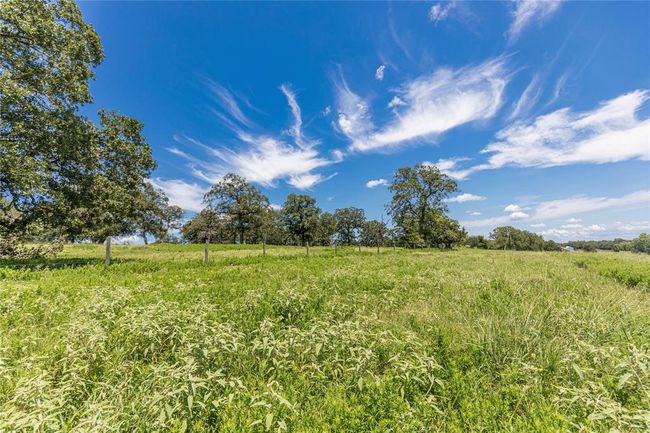 8 Mill Creek Ranch Rd, Home with 0 bedrooms, 0 bathrooms and null parking in New Ulm TX | Image 6