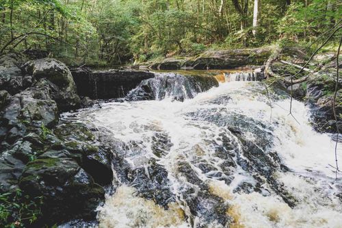 254 J S Pope Rd, Halifax, NC, 27839 | Card Image