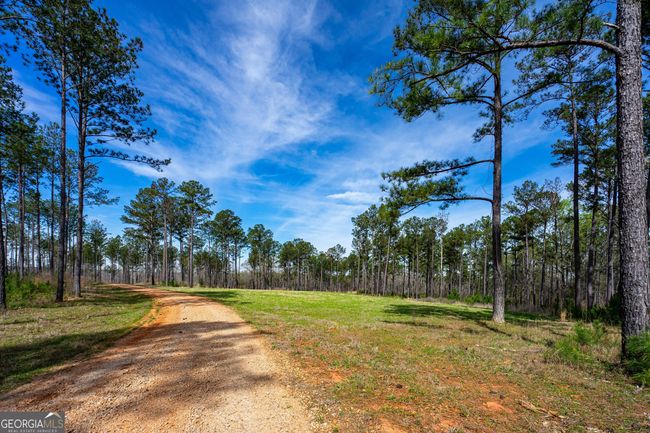 TRACT-1 - 0 Shake Rag Rd, Home with 0 bedrooms, 0 bathrooms and null parking in Pine Mountain GA | Image 4
