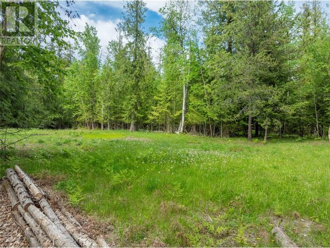 4006 Express Point Rd, House other with 4 bedrooms, 2 bathrooms and null parking in Scotch Creek BC | Image 63