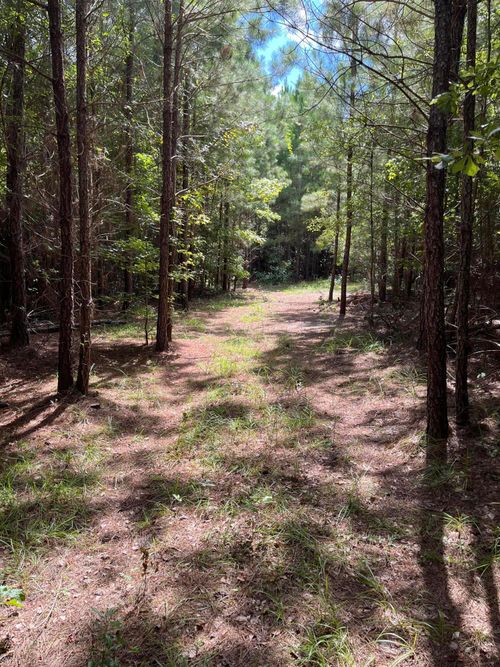 00 Cherry Hill Rd, Orangeburg, SC, 29115 | Card Image