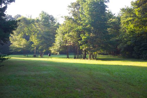 4000 W Fork Rd, Saulsbury, TN, 38067 | Card Image