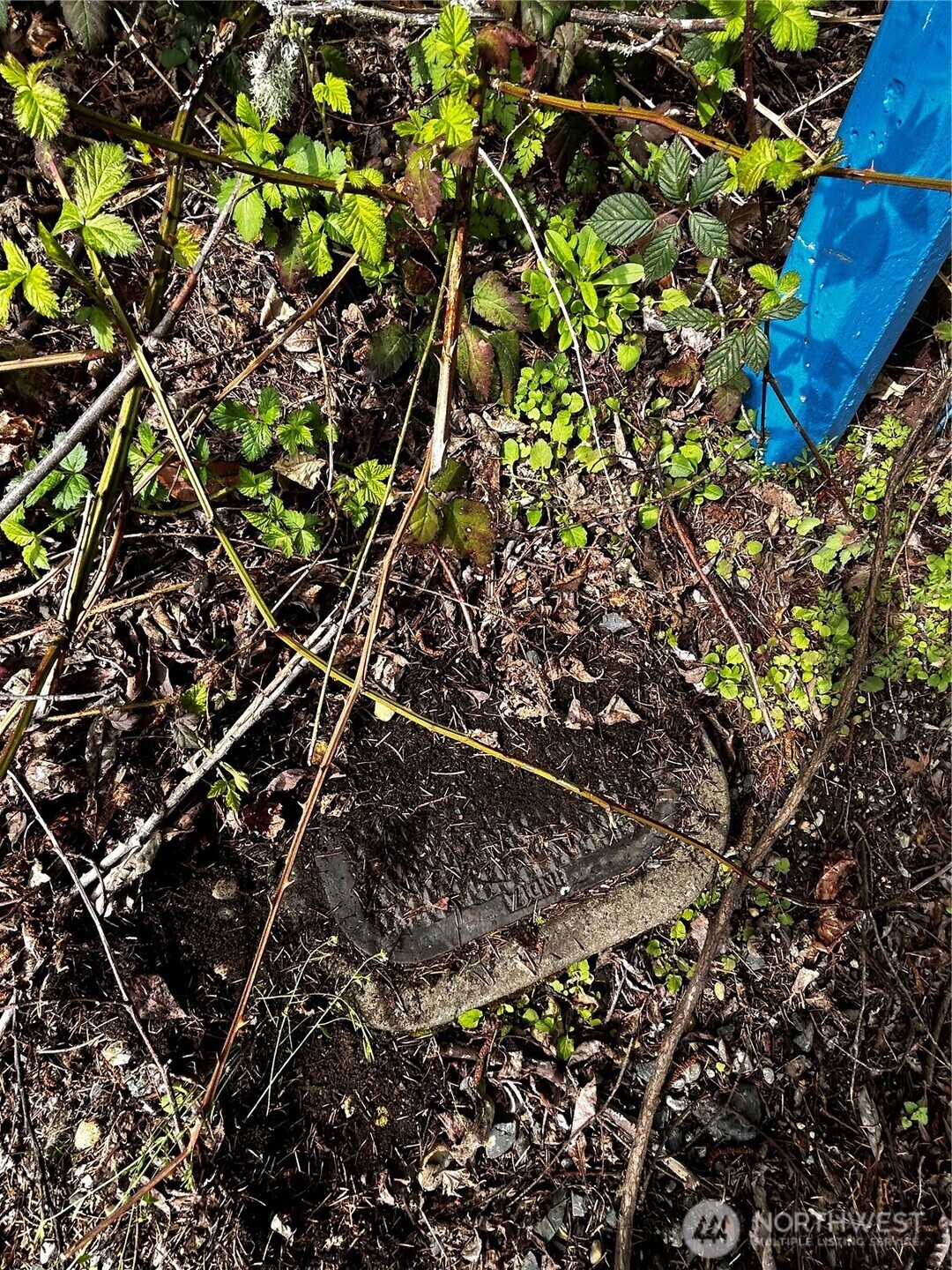 Land in Bothell 3