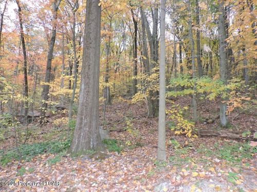 Lot 16 Tomko Ave, Hanover Township, PA, 18706-1810 | Card Image