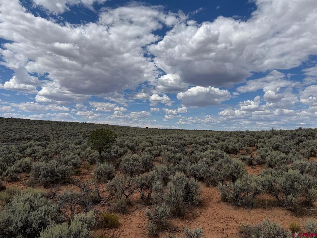 Land in Dove Creek 3