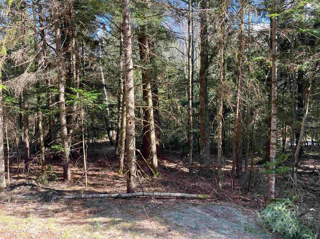 00 Sniderbrook Rd, Home with 0 bedrooms, 0 bathrooms and null parking in Westfield VT | Image 9