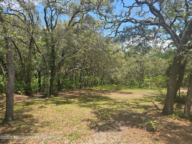 12843 Ithaca Ave, House other with 4 bedrooms, 2 bathrooms and null parking in Hudson FL | Image 14