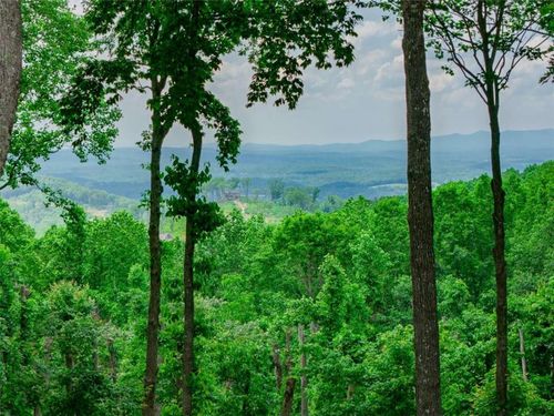 LT 411 Calloway Mountain Road, Talking Rock, GA, 30175 | Card Image