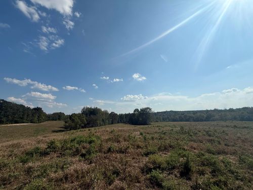 000 3 Way Rd, Decaturville, TN, 38329 | Card Image