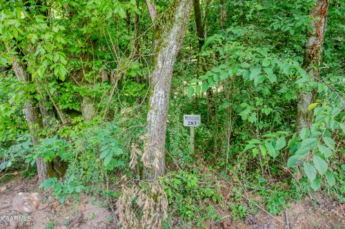 4485 Huffine Rd, Loudon, TN, 37774-7610 | Card Image