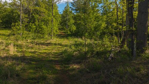 Lot 3 Shortcut Dr, Woolwine, VA, 24185 | Card Image