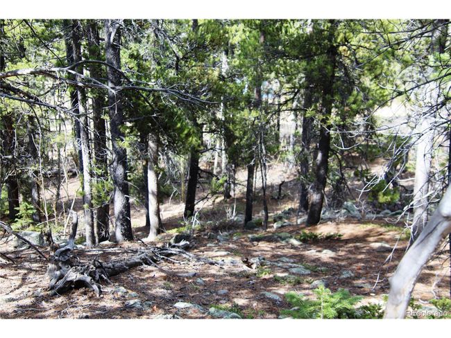 435 Aspen Rd, Home with 0 bedrooms, 0 bathrooms and null parking in Black Hawk CO | Image 9
