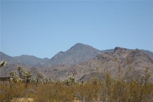 122-10-005 Tortoise Road, Yucca, AZ, 86438 | Card Image