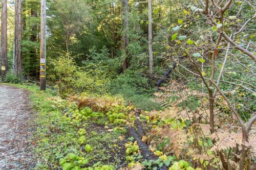 4 Old Mill Rd, Scotts Valley, CA, 95066 | Card Image