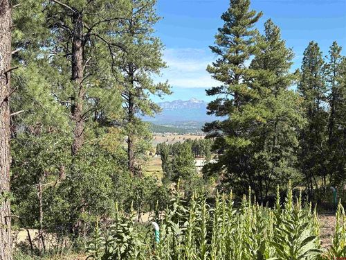 599 Pineview Rd, Pagosa Springs, CO, 81147-8732 | Card Image