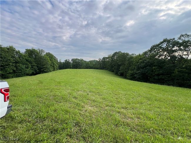 View of green lawn with a forest view | Image 9