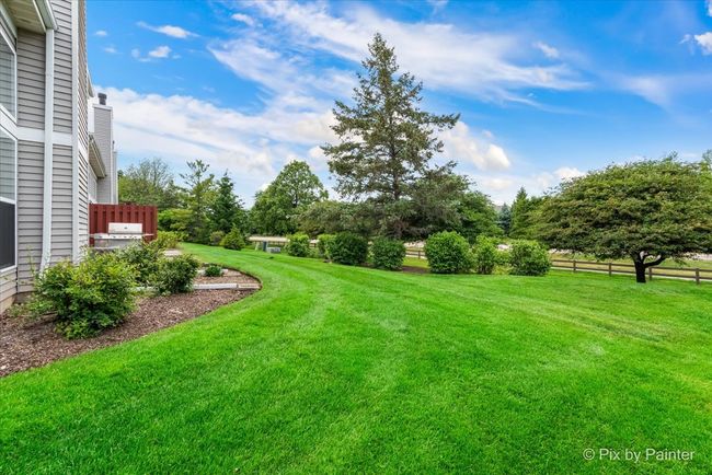 SO Much Yard | Image 22