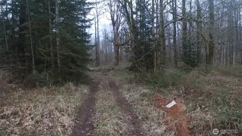 841 W Main, Morton, WA, 98356-9733 | Card Image