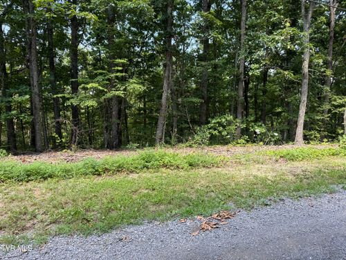 36 Pecan Tree Lane, Newport, TN, 37821 | Card Image