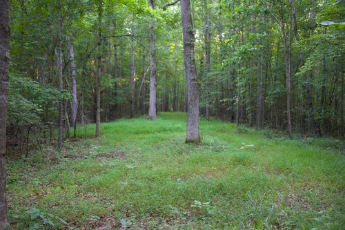 5355 Country Club Rd, Somerville, TN, 38068 | Card Image
