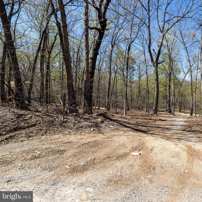 309 Wildwood Ln, Home with 0 bedrooms, 0 bathrooms and null parking in SHENANDOAH VA | Image 7