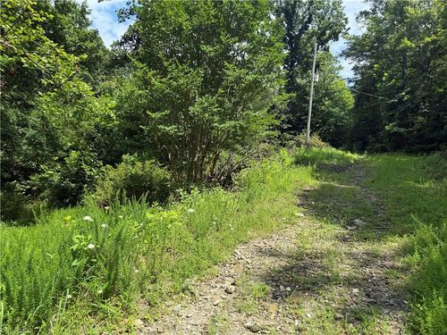 24 Copperhead Road, Cana, NC, 27317 | Card Image