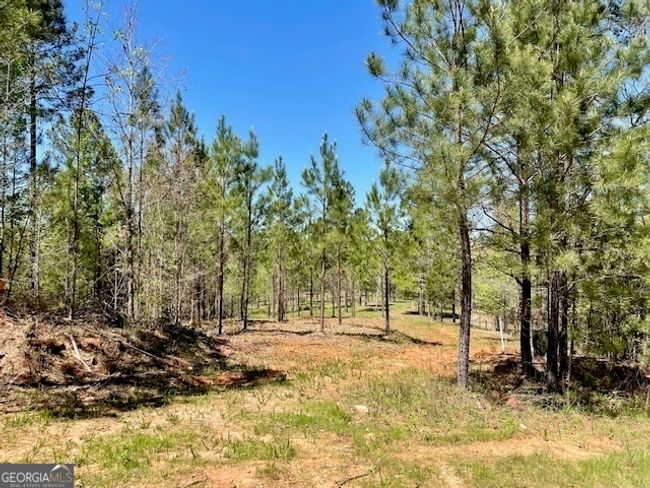 1276 Hornets Bridge Rd, Home with 0 bedrooms, 0 bathrooms and null parking in Elberton GA | Image 8