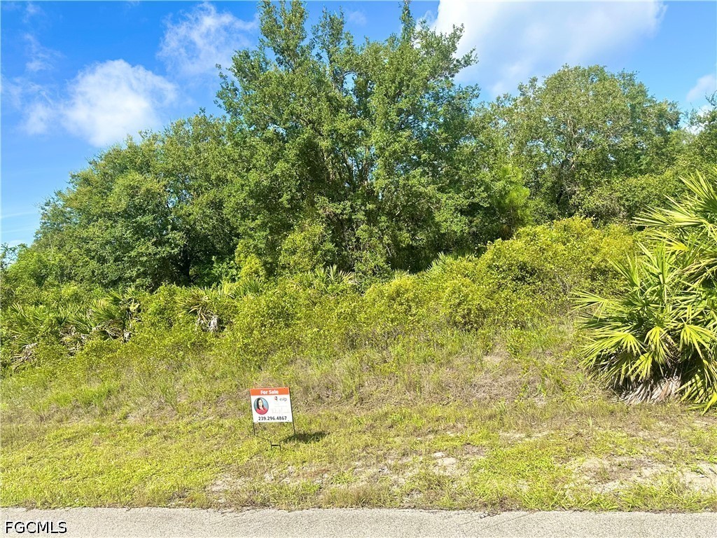 Land in Lehigh Acres 2