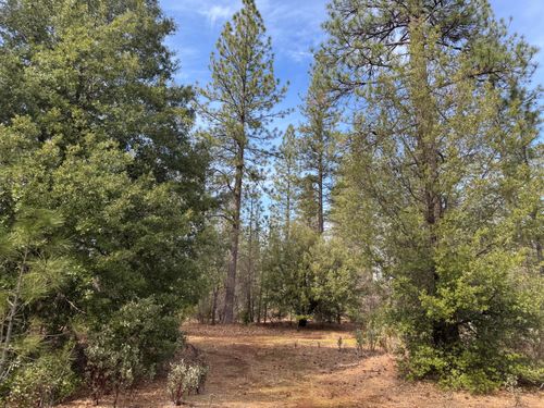 11 Whitmore Village Rd., Whitmore, CA, 96096 | Card Image