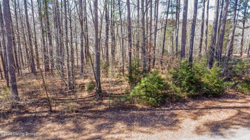 11 Marina Point Ln, Falls Of Rough, KY, 40119 | Card Image