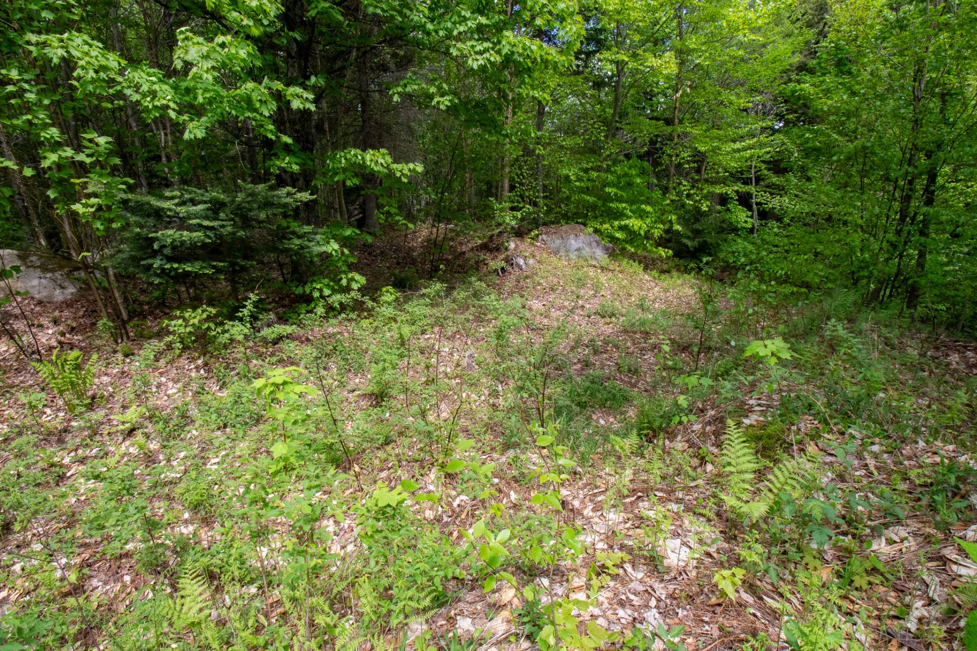 Land in Harrington 3