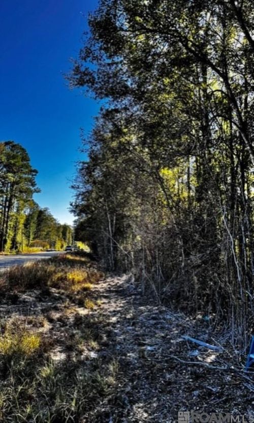 TBD Watkins Rd, Walker, LA, 70785 | Card Image