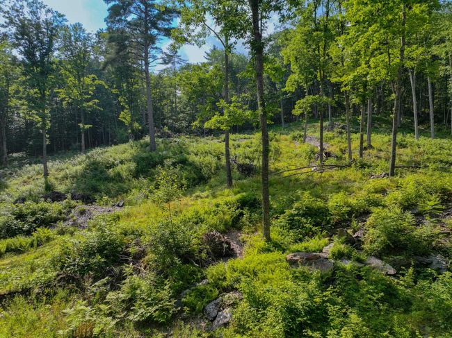 0 Rose Hill Rd, Home with 0 bedrooms, 0 bathrooms and null parking in Woodstock VT | Image 10