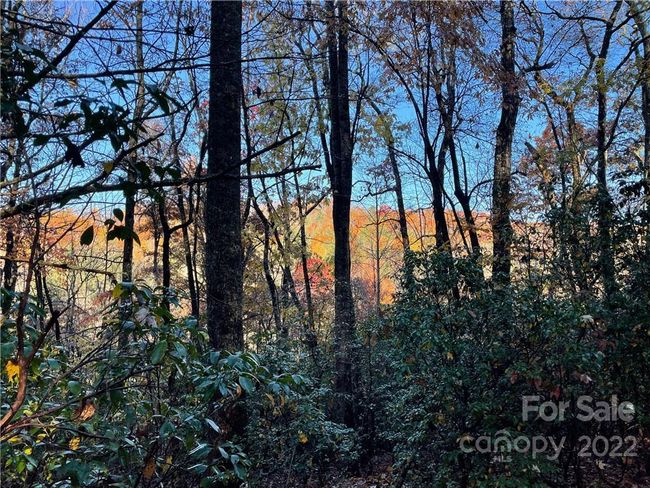 4 - 9999 Sassafras Ln, Home with 0 bedrooms, 0 bathrooms and null parking in Cedar Mountain NC | Image 19