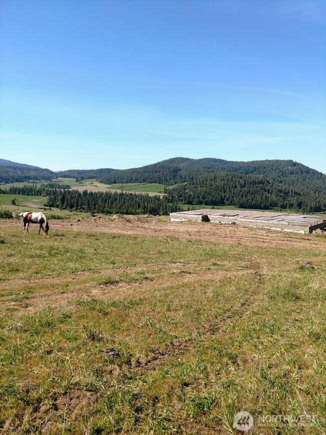 B - 5787 Fruitland Valley Rd, Home with 0 bedrooms, 0 bathrooms and null parking in Fruitland WA | Image 13